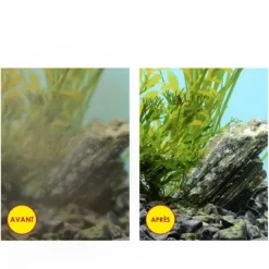 BLUE CORAL Pack de filtration taille S CIANO - Cartouches
