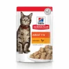 HILL'S Pack de sachets pour chat 4 saveurs Hills - 12 x 85 gr