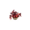 LABEO Papyrus rouge en plastique 8 cm