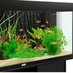 BLUE CORAL Paroi arrière d'aquarium effet pierre, JUWEL, modèle STR - 595x500 mm