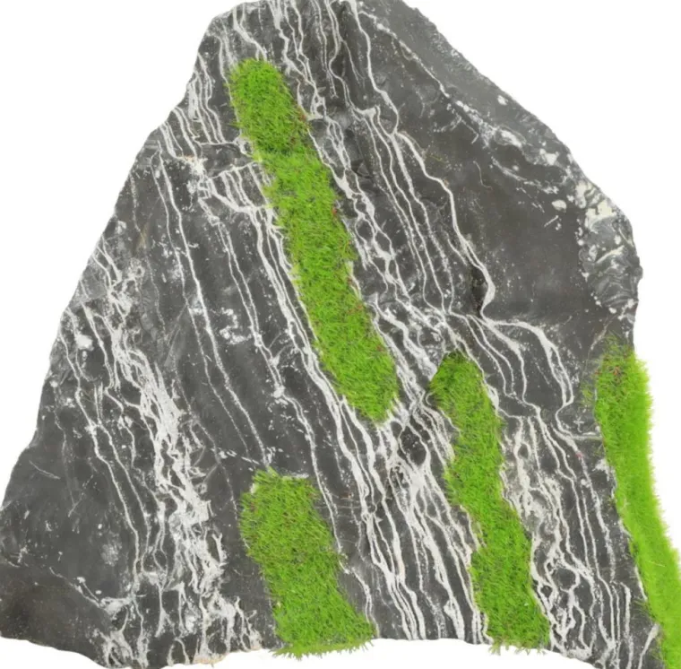 ZOLUX Pierre bicolore avec plante aquatique pour aquarium stone « ki pousse » M