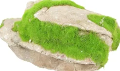 ZOLUX Pierre grise avec plante aquatique pour aquarium grey stone « ki pousse » M