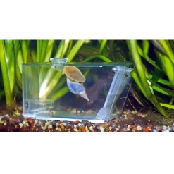 BLUE CORAL Piège à escargots, AQUA MEDIC Trap-Pest