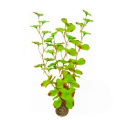 BLUE CORAL Plante artificielle aquarium, haute résistance, SUPERFISH, modèle Easy Plants High 13