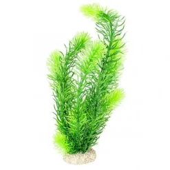 BLUE CORAL Plante artificielle aquarium, type hornwort, AQUA DELLA - 24cm