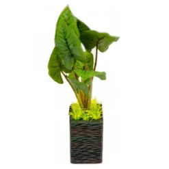 BLUE CORAL Plante artificielle aquarium, hauteur 25 cm - AQUA NOVA