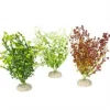 BLUE CORAL Plante artificielle Bacopa Set M coloris variés - AQUA DELLA - 25cm