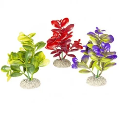 BLUE CORAL Plante artificielle crassula, divers coloris, AQUA DELLA, modèle M - 16cm