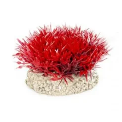 BLUE CORAL Plante artificielle crystalwort moss, rouge, AQUA DELLA, modèle S - 5cm