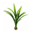 BLUE CORAL Plante artificielle d'aquarium Cryptocoryne balansae - SUPERFISH Easy Plants