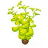 BLUE CORAL Plante artificielle d'aquarium lysimachia de qualité - SUPERFISH Easy Plants