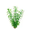 BLUE CORAL Plante artificielle Hygrophila pour aquarium - SUPERFISH