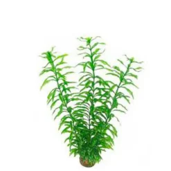 BLUE CORAL Plante artificielle Hygrophila pour aquarium - SUPERFISH