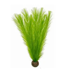 BLUE CORAL Plante artificielle pour aquarium myriophillum - SUPERFISH - Modèle Easy Plants