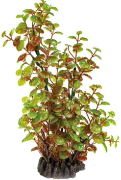 SUPERFISH Plante artificielle pour aquarium ou terrarium coloris vert Rotala Art Plant M - 25 cm