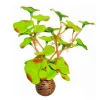 BLUE CORAL Plante artificielle pour aquarium lysimachia, SUPERFISH, Modèle Easy Plants