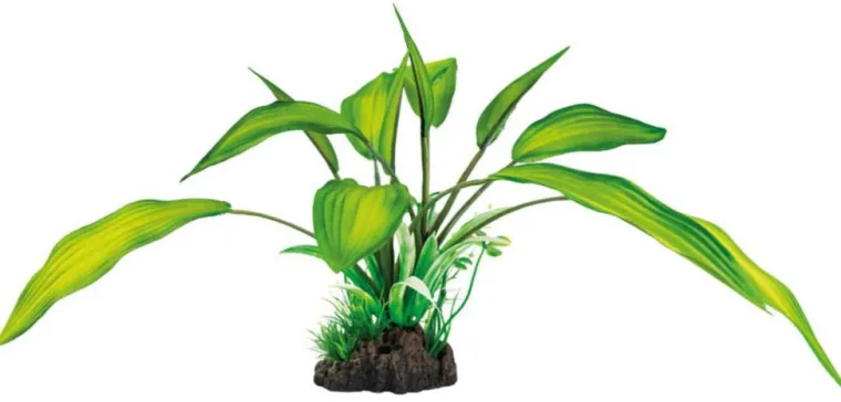 SUPERFISH Plante artificielle pour aquarium ou terrarium coloris vert Cryptocoryne Art Plant M - 25 cm