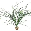 LABEO Plante artificielle pour aquarium coloris vert Psilotum MM