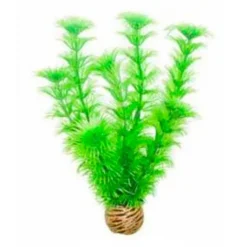 BLUE CORAL Plante artificielle pour aquarium, SUPERFISH Easy Plants middle 4