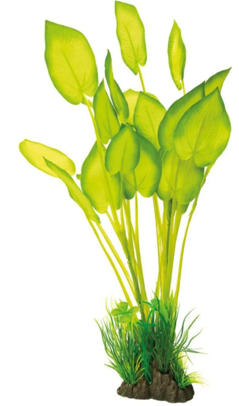 SUPERFISH Plante artificielle pour aquarium ou terrarium coloris vert Echinodorus Art Plant L - 40 cm
