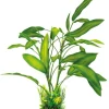 SUPERFISH Plante artificielle pour aquarium ou terrarium coloris vert Cryptocoryne Art Plant L - 40 cm
