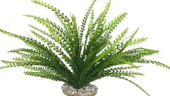LABEO Plante artificielle pour aquarium coloris vert Elodea Corolle