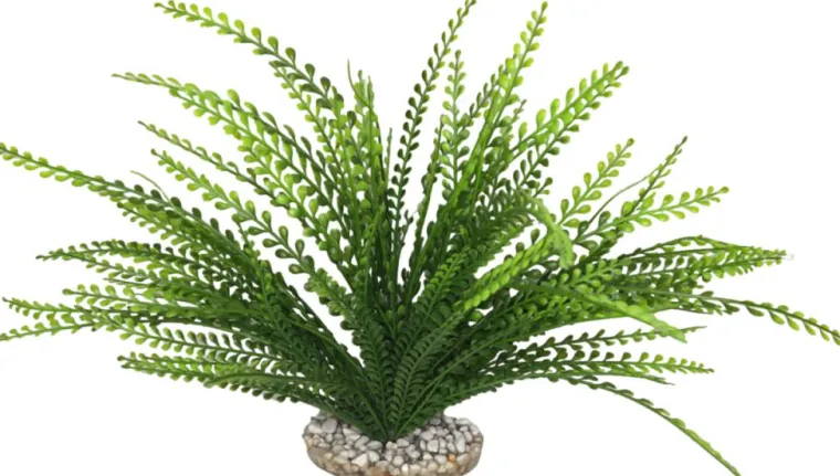 LABEO Plante artificielle pour aquarium coloris vert Elodea Corolle