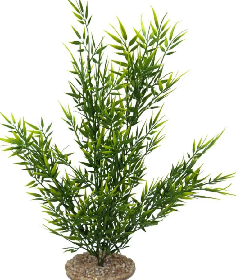 LABEO Plante artificielle pour aquarium coloris vert Elodea Corolle