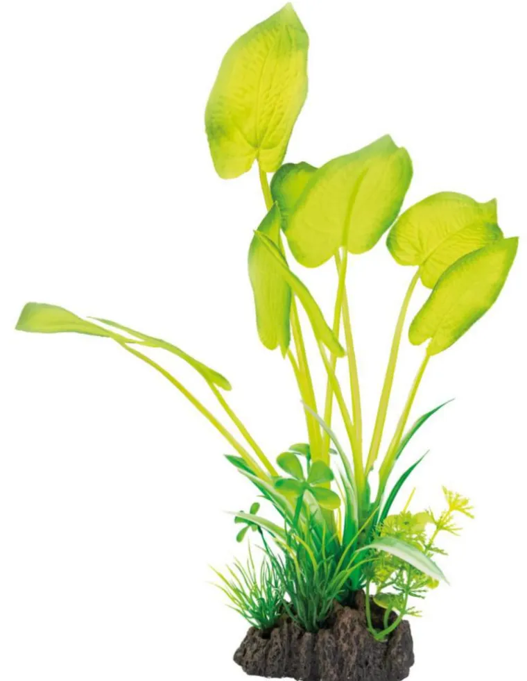 SUPERFISH Plante artificielle pour aquarium ou terrarium coloris vert Echinodorus Art Plant M - 25 cm