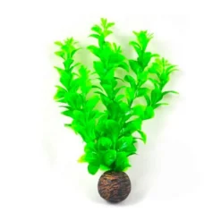 AQUADISTRIB Plante artificielle rotala pour aquarium, matière résistante, SUPERFISH, modèle Easy Plants M - taille moyenne