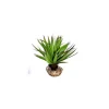 LABEO Plante succulente verte en tissu moyen modèle Ø 10 cm