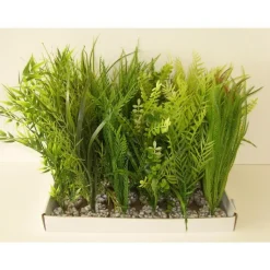 LABEO Plante verte pour aquarium coloris vert