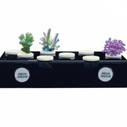BLUE CORAL Plateau de corail magnétique AQUA MEDIC frag board