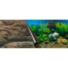 EUROPET Poster aquarium motif meroche BERNINA - 60x30cm