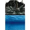 BLUE CORAL Poster aquarium racine/fond marins AQUA NOVA modèle Roots/Water S - 60x30cm