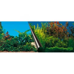 EUROPET Poster aquarium thème marin, BERNINA, modèle Beauty/Sea - 80x40cm