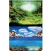 BLUE CORAL Poster aquascaping océan, face plantes - AQUA NOVA modèle S - 60x30 cm