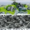 BLUE CORAL Poster de fond aquascape & rock, JUWEL - taille L 100 x 50 cm