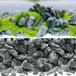 BLUE CORAL Poster de fond rock & aquascape, taille XL - JUWEL - 150x60 cm