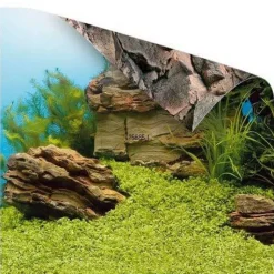 JUWEL Poster pour aquarium taille S 60x30 cm