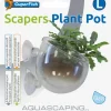 SUPERFISH Pot à plantes pour aquascaping en verre coloris transparent avec ventouses - 9 x 6 cm