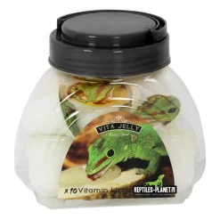 REPTILE PLANET Pot de vitamines pour lézard Vita Jelly Vitamin Lizzard - x 10 dosettes