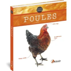 ÉDITIONS ARTEMIS Poules aux éditions Artemis