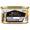 PRO PLAN Pâtée pour jeune chat Purina - 85 g