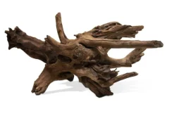 AQUAVIE Racine décorative pour aquarium coloris marron Sinknatur - Taille S/M