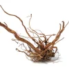 AQUAVIE Racine décorative pour terrarium en bois naturel coloris marron racine Curlivigne - Taille L