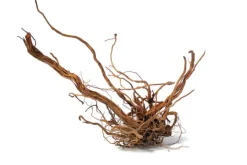 AQUAVIE Racine décorative pour terrarium en bois naturel coloris marron racine Curlivigne - Taille L