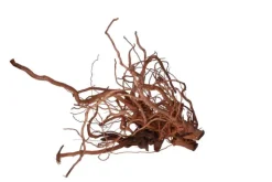 AQUAVIE Racine décorative pour terrarium en bois naturel coloris marron racine Curlivigne - Taille XL