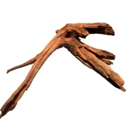 BLUE CORAL Racine de mangrove naturelle SUPERFISH pour aquarium - 40cm