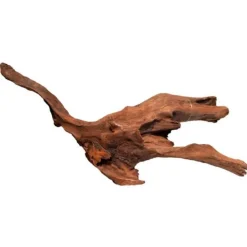 BLUE CORAL Racine de mangrove naturelle pour aquarium SUPERFISH - 30 cm